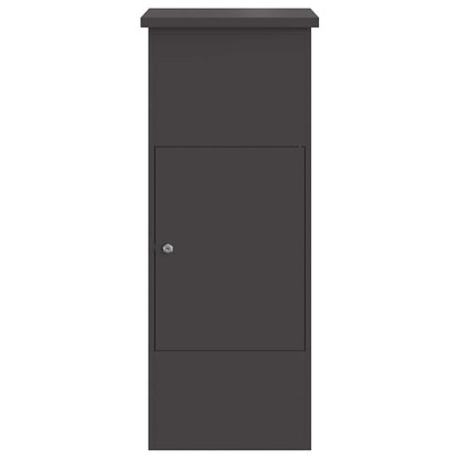 Cassetta per pacchi con porta Nero 44,5 x 29 x 110,5 cm Acciaio