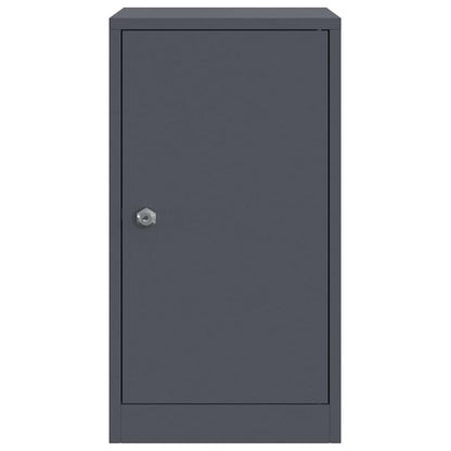 cassetta postalepastkastei Antracite 30 x 20 x 55 cm Acciaio