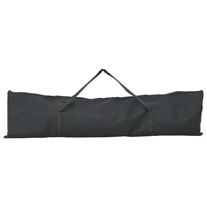 Rete da pratica per baseball Nero 250 x 106 x 209 cm Poliestere
