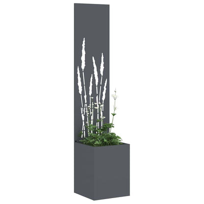 Schermo per privacy in giardino Traforo Antracite 32 x 140 cm