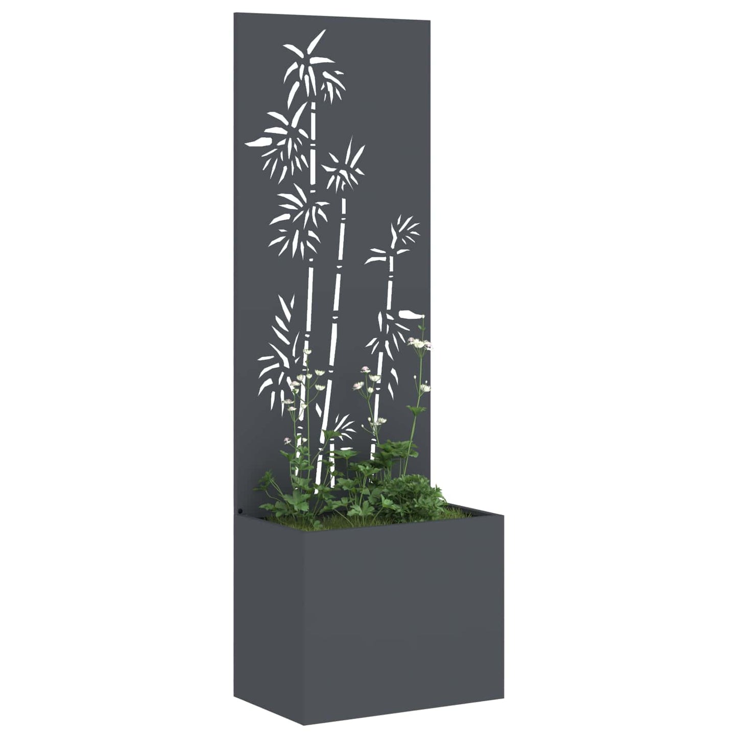 Schermo per privacy in giardino Antracite 50 x 32 x 150 cm