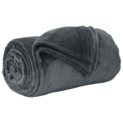 Coperta Grigio scuro 240 x 270 cm Panno
