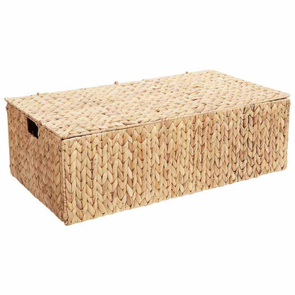 Scatola di Stoccaggio Naturale 60 x 38 x 20 cm Giacinto d'acqua