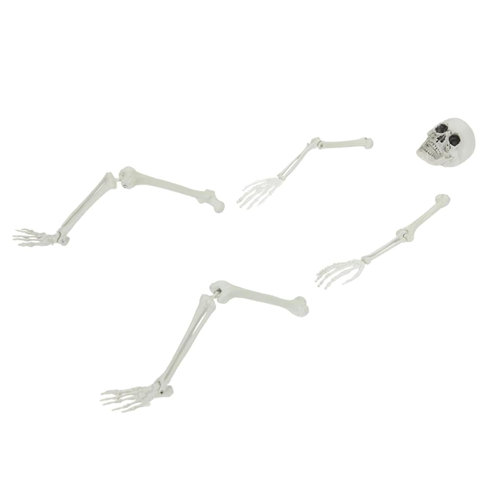 Scheletro di Halloween Bianco 45,5 x 13 cm Plastica