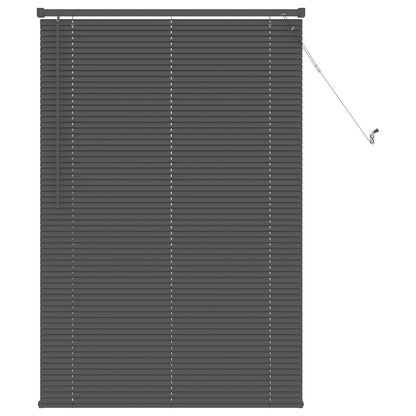 Tenda Veneziana Regolabile Grigio Argento 150 x 80 cm PVC