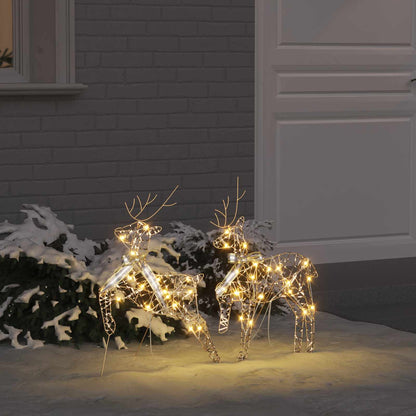 Renne LED con 40 LED 2 pcs Bianco caldo PET
