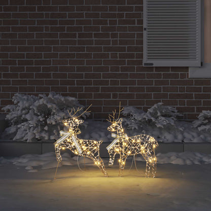 Renne LED con 40 LED 2 pcs Bianco caldo PET