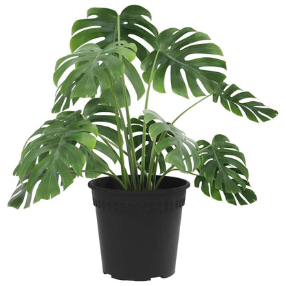 Vaso Rotondo per Fiori 6 pcs Nero Ã˜ 17 x 14 cm Plastica