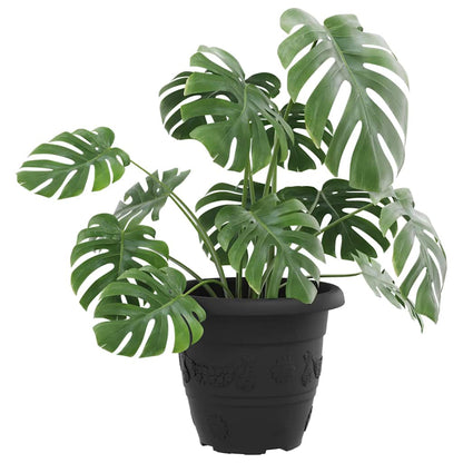 Vaso Rotondo per Fiori 6 pcs Nero Ã˜ 26 x 21.5 cm Plastica