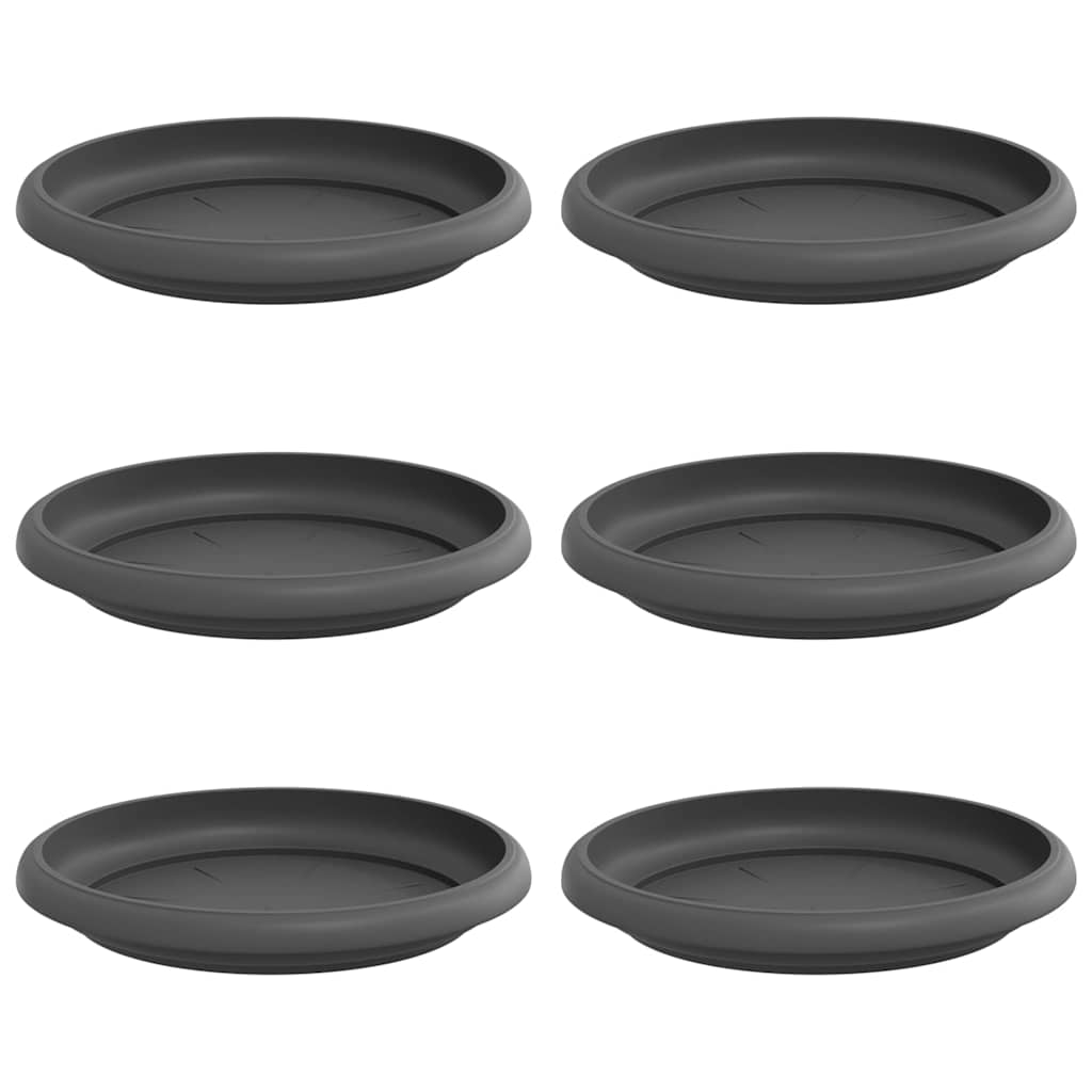 Vassoio Rotondo per Fiori 6 pcs Nero Ã˜ 15,5 x 2 cm Plastica