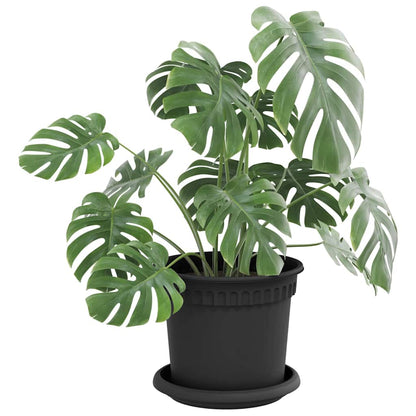 Vassoio Rotondo per Fiori 6 pcs Nero Ã˜ 15,5 x 2 cm Plastica