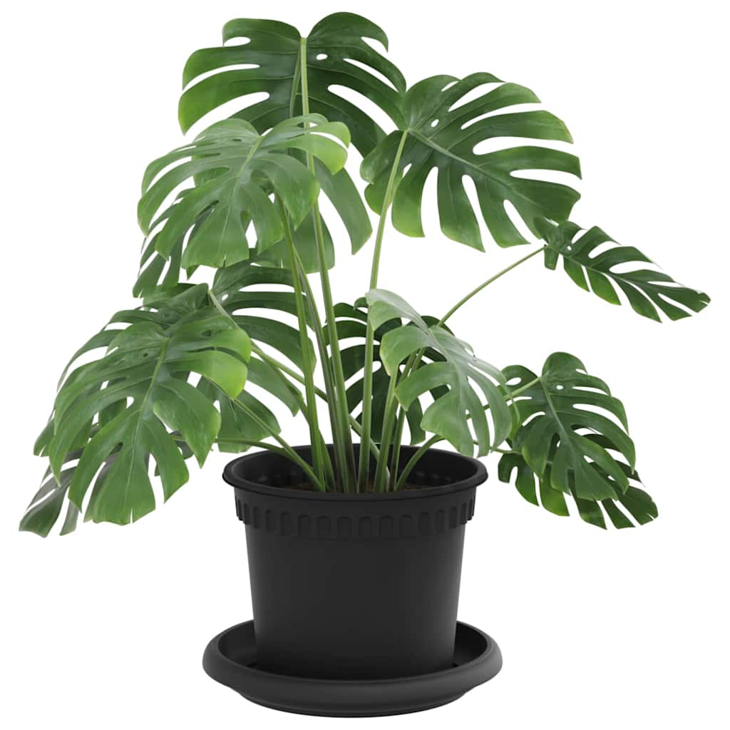 Vasi per Piante 24 pcs Nero Ã˜ 12,5 x 10 cm Plastica