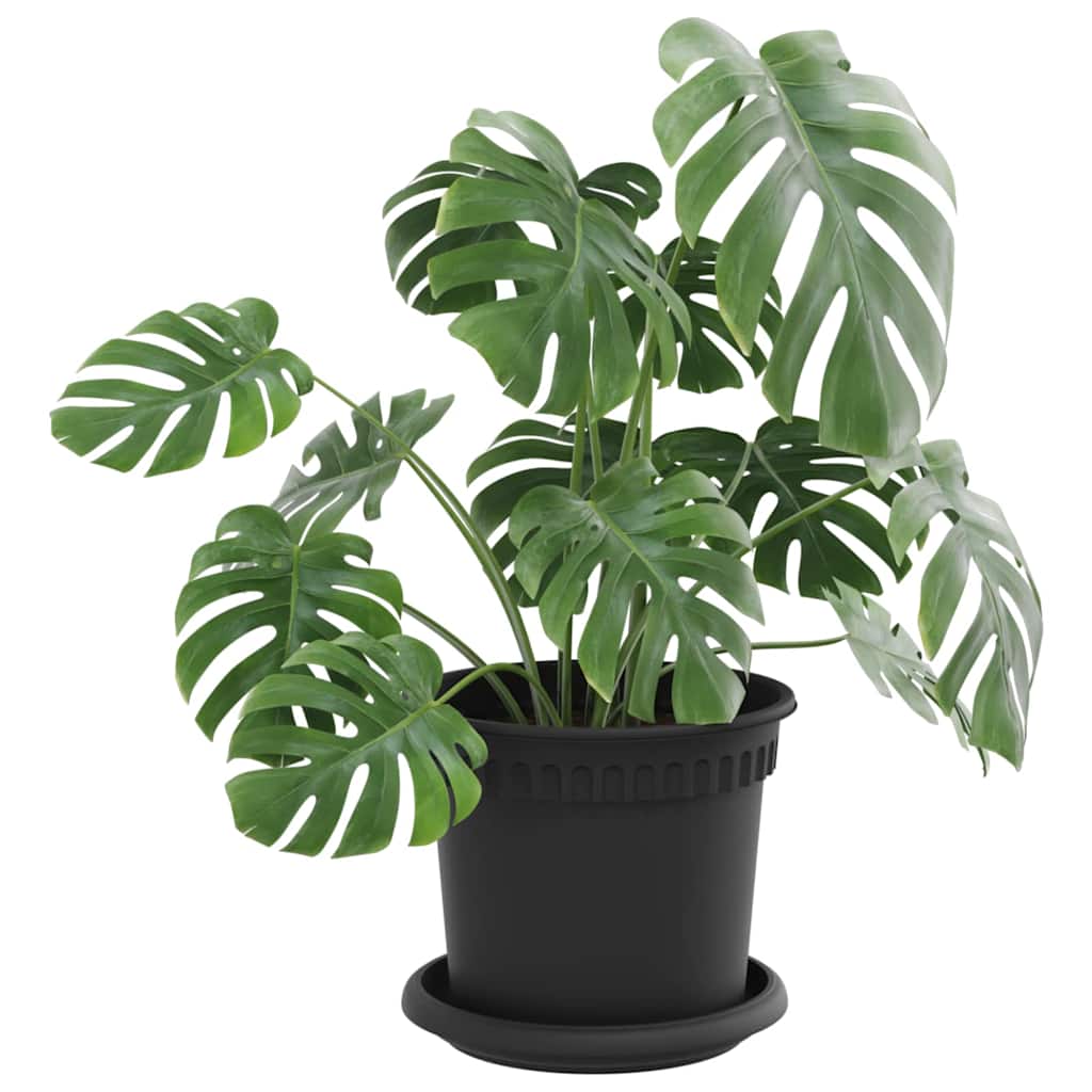 Vasi per Piante 24 pcs Nero Ã˜ 15 x 12 cm Plastica
