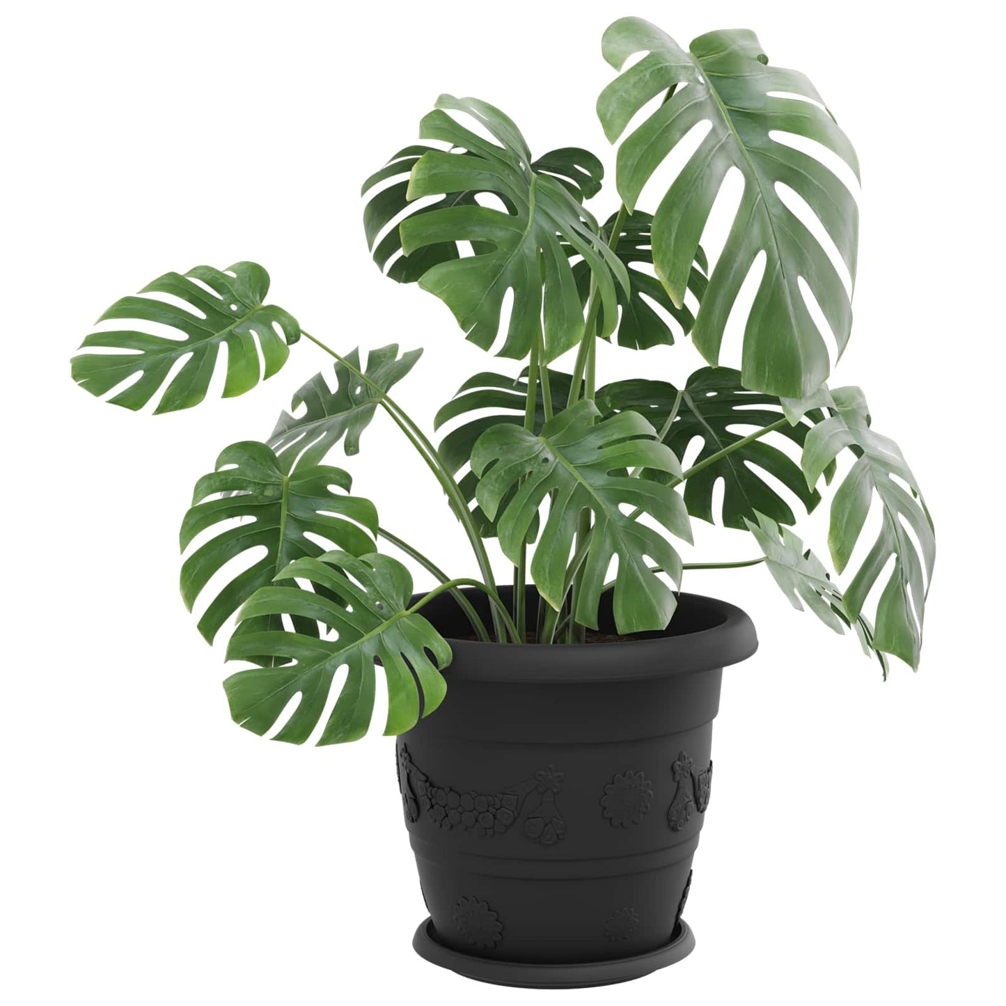 Vasi per Piante 6 pcs Nero Ã˜ 26 x 21.5 cm Plastica