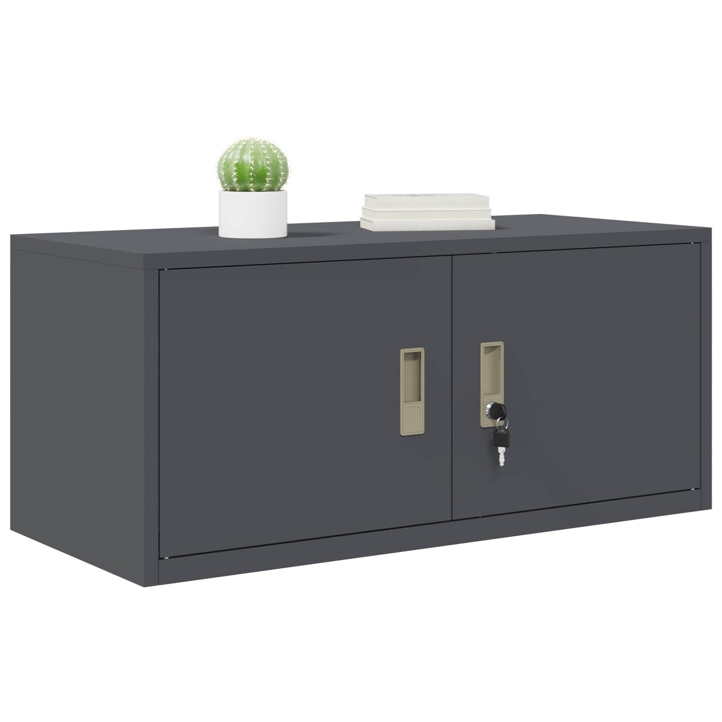 Armadio da Ufficio Antracite 90 x 40 x 40 cm in Acciaio