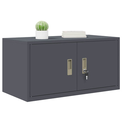 Armadio Antracite 80 x 40 x 40 cm Acciaio