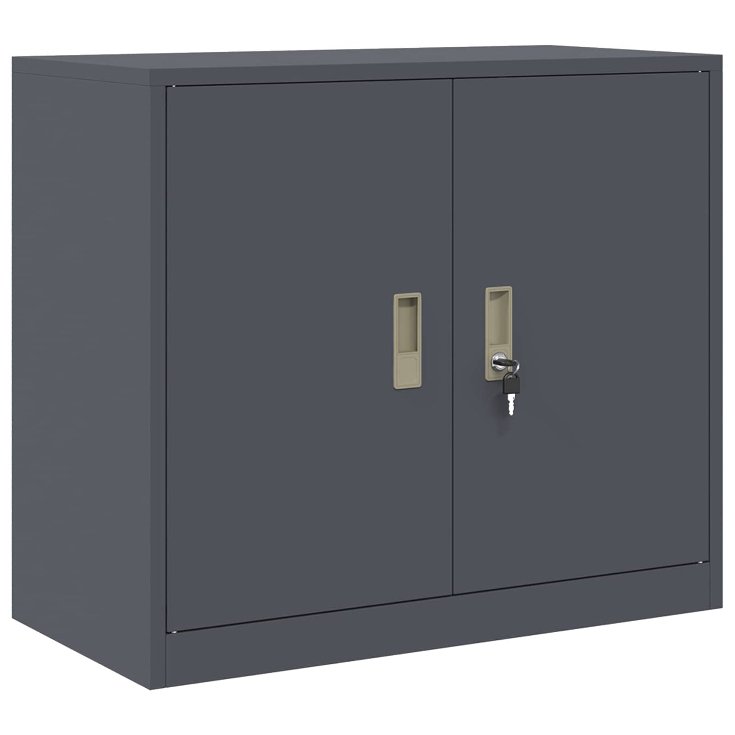 Armadio Antracite 80 x 40 x 70 cm Acciaio