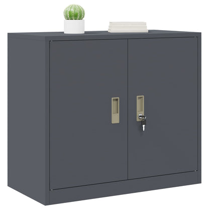 Armadio Antracite 80 x 40 x 70 cm Acciaio