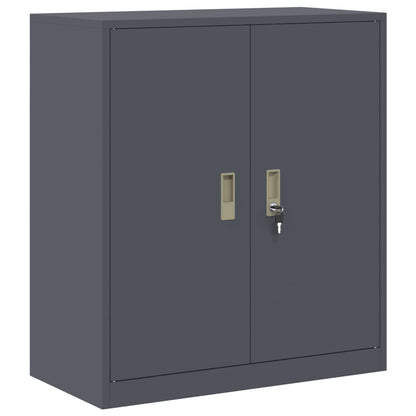 Armadio Antracite 80 x 40 x 90 cm Acciaio