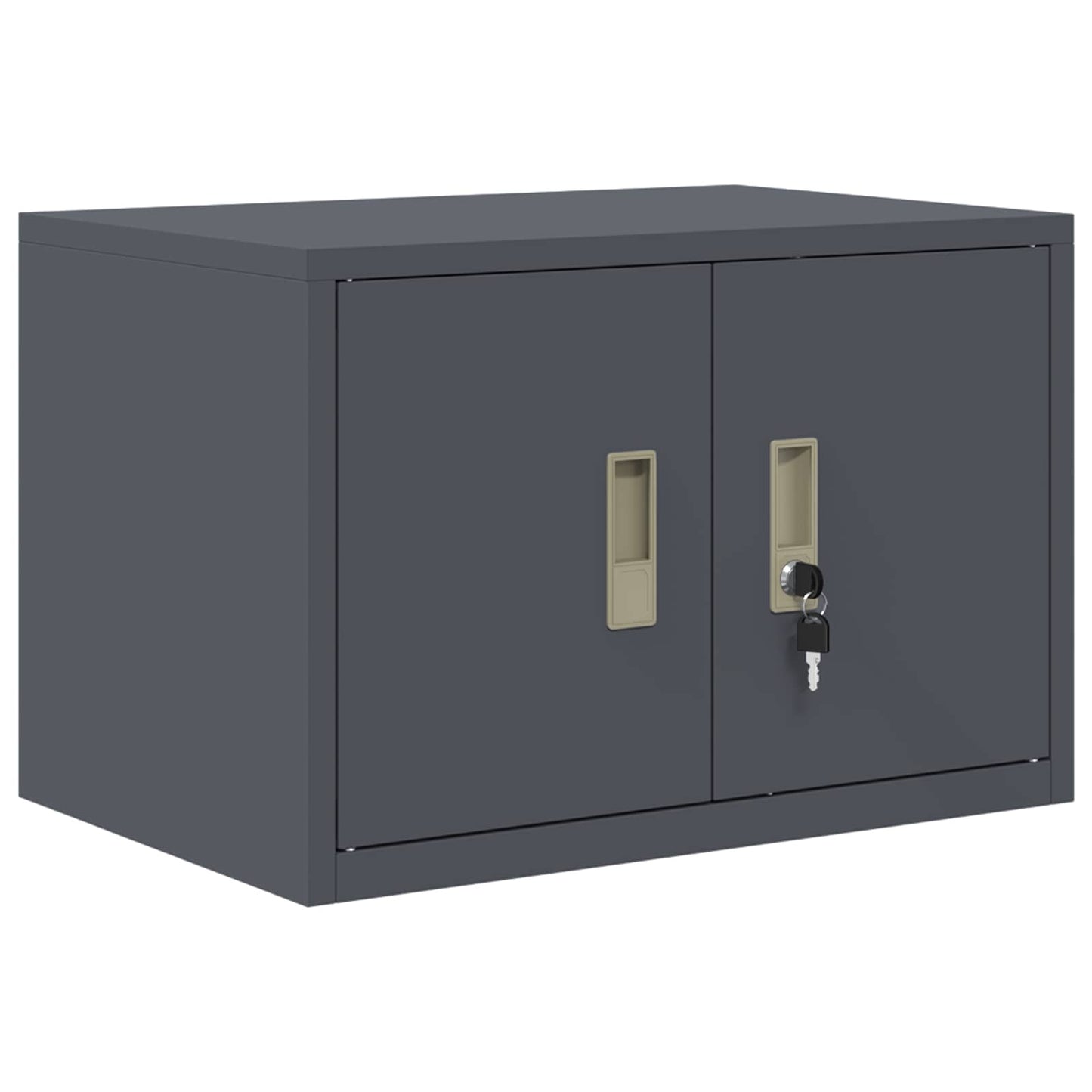 Armadio Antracite 60 x 40 x 40 cm Acciaio