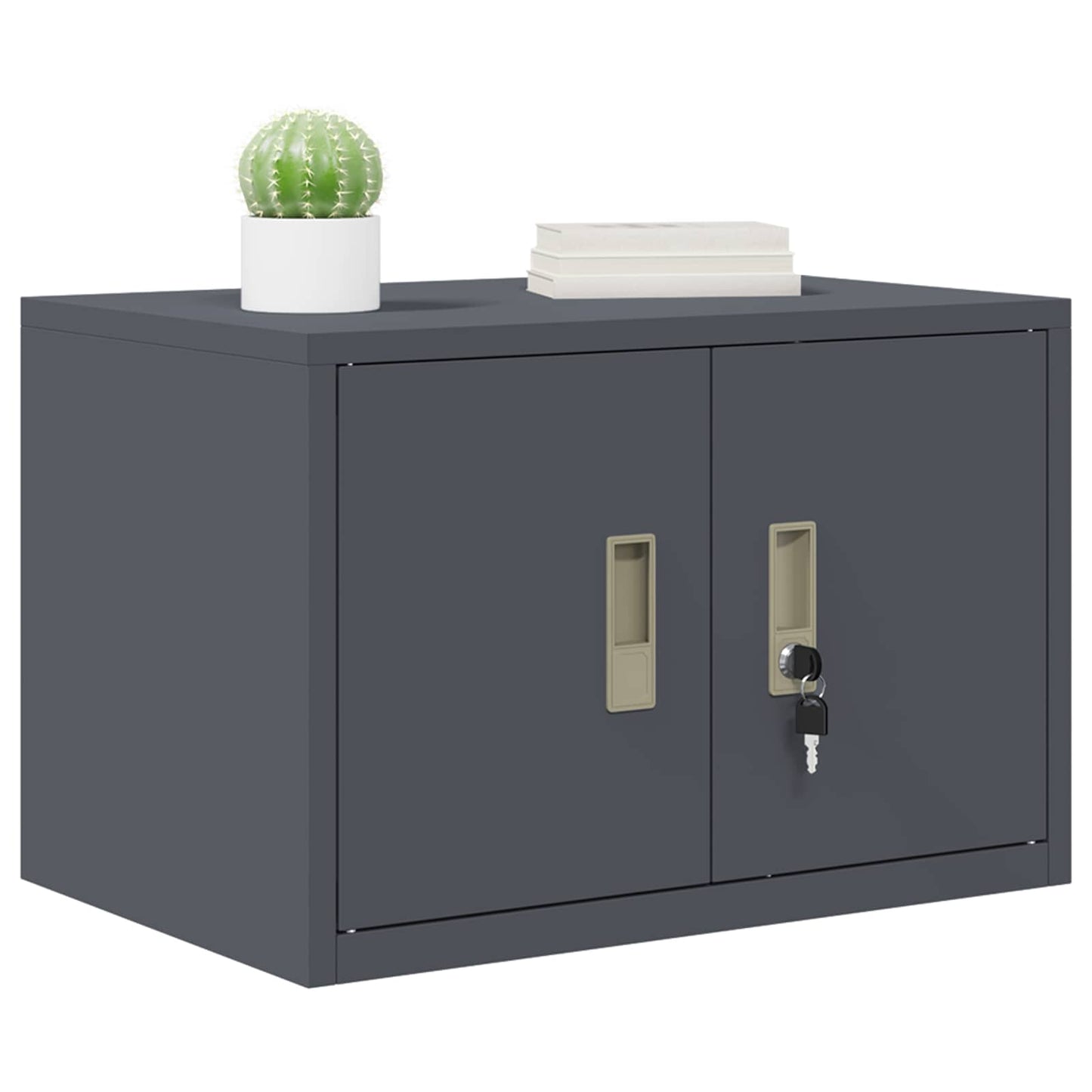 Armadio Antracite 60 x 40 x 40 cm Acciaio