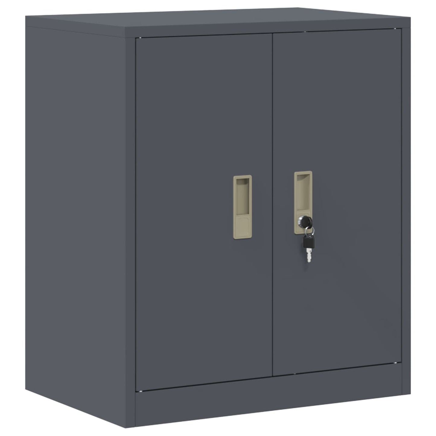 Armadio Antracite 60 x 40 x 70 cm Acciaio