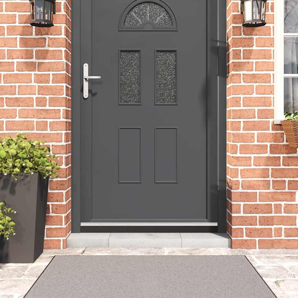 Spazzole per porte a vite 12 pcs Argento 100 cm