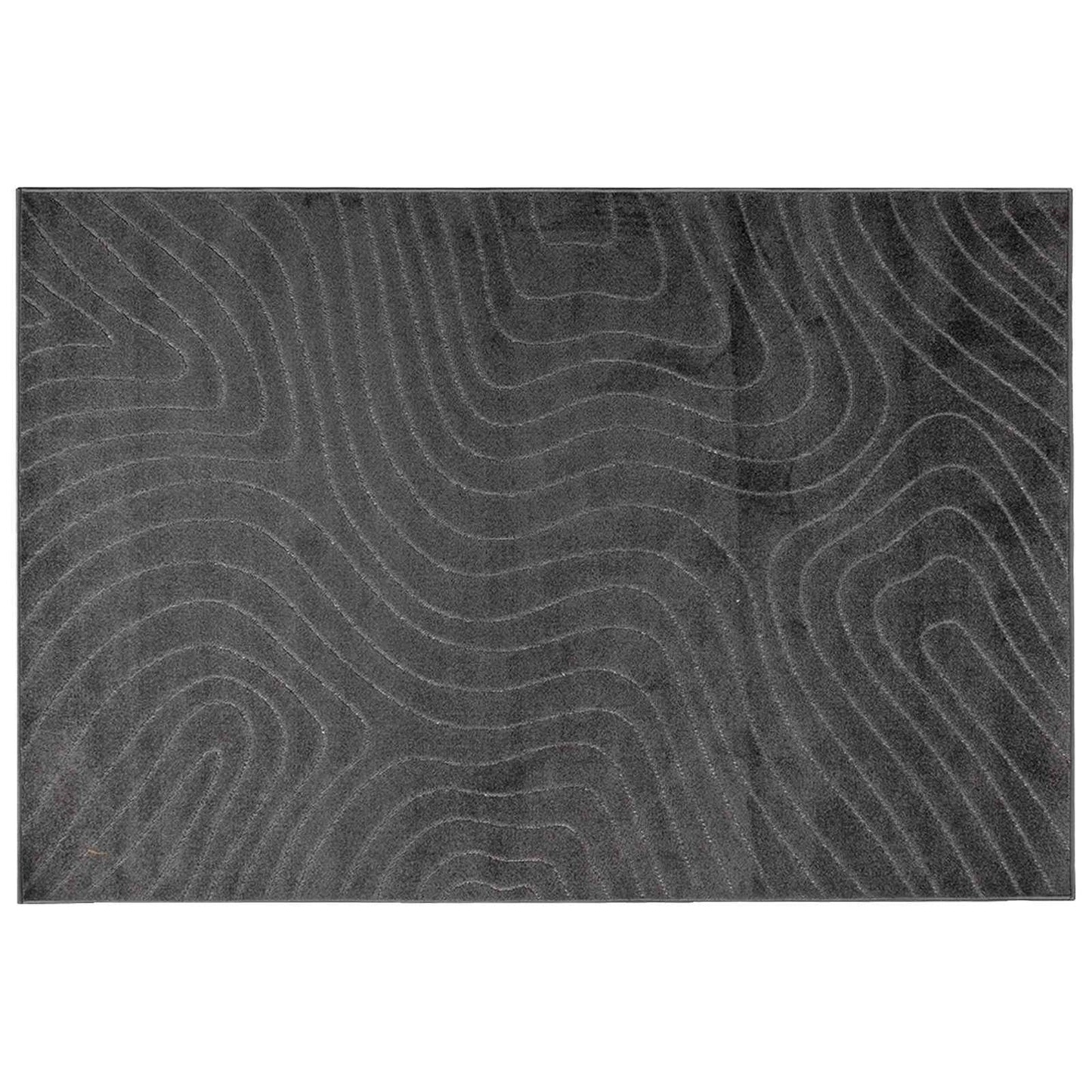 Tappeti per area PALMERAS Antracite 170 x 120 cm Poliestere