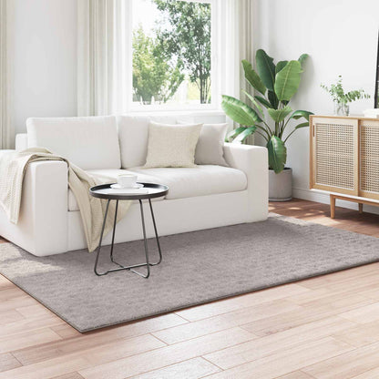 Tappeti per area SIROLO Sabbia 230 x 160 cm Poliestere