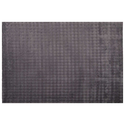 Tappeti per area SIROLO Antracite 340 x 240 cm Poliestere