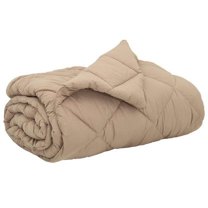 Piumone Completo Annuale Talpa 240 x 200 cm Microfibra