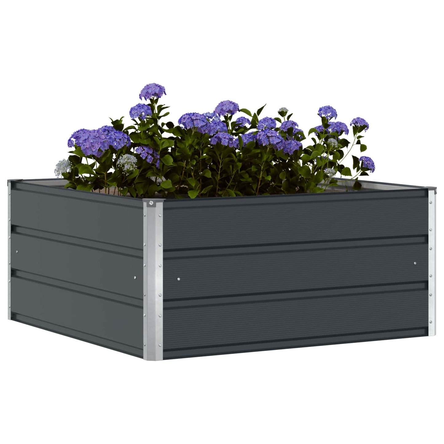 Fioriera Antracite 100 x 100 x 45 cm Acciaio