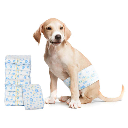 Pannolino usa e getta per cani maschi 30 pcs Bianco L