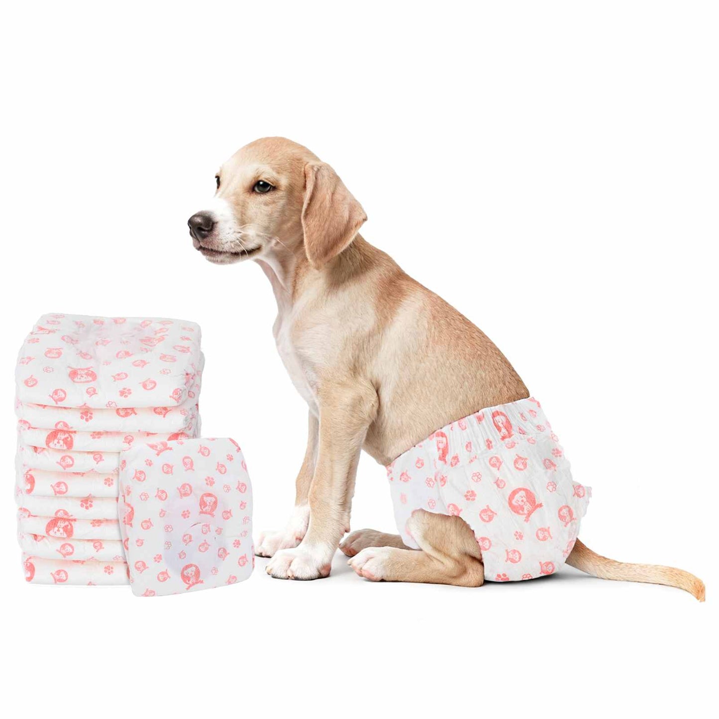 Pannolino usa e getta per cani femmina 30 pcs Bianco XS