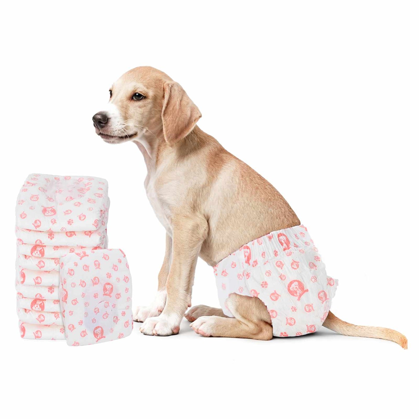 Pannolino usa e getta per cani femmina 50 pcs Bianco M