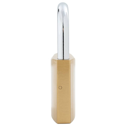 U Lock con Chiavi 100 pcs Ottone Ferro