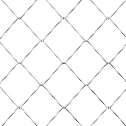 Recinzione a rete metallica Galvanizzato 2 x 10 m Vetro