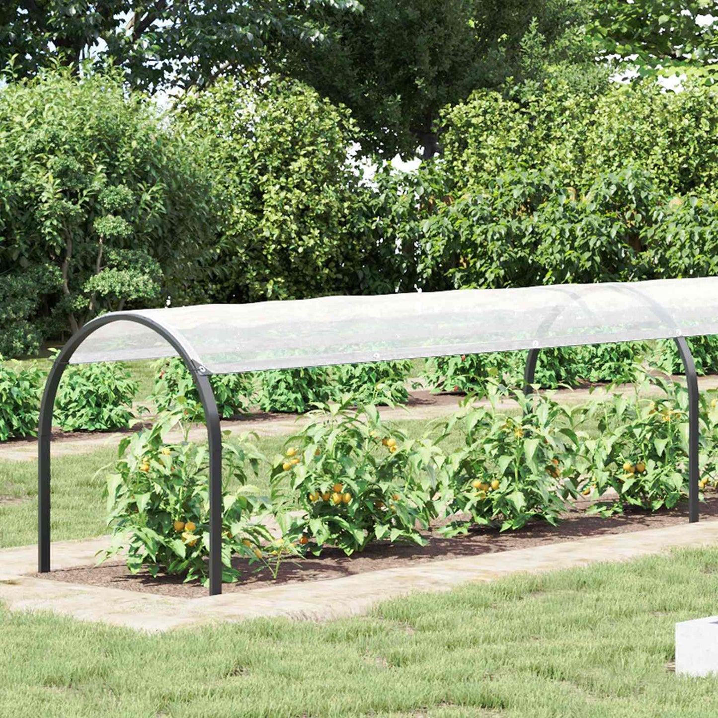 Telo con Occhielli Trasparente 1 x 12 m Polietilene