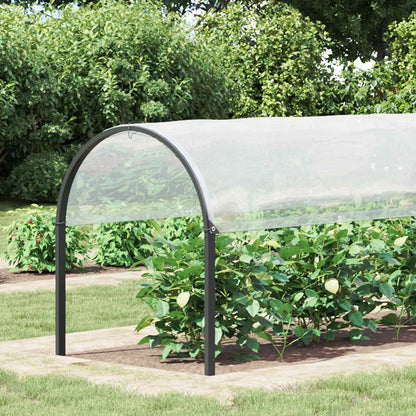 Telo con Occhielli Trasparente 2 x 12 m Polietilene