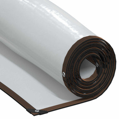 Telo con Occhielli Trasparente 2 x 12 m Polietilene