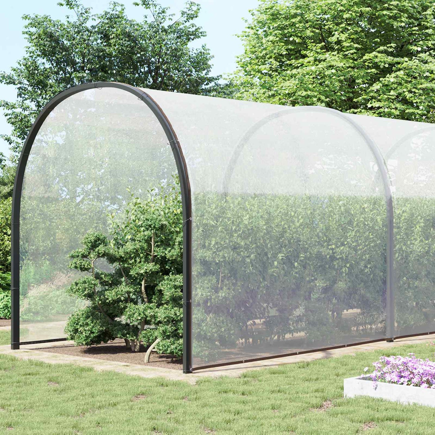 Telo con Occhielli Trasparente 8 x 12 m Polietilene