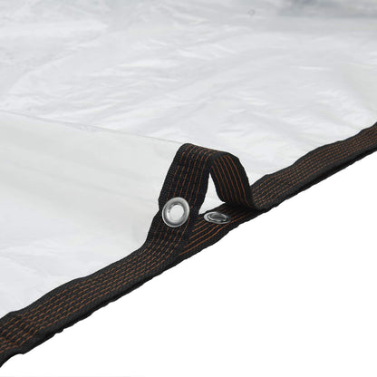 Telo con Occhielli Trasparente 10 x 12 m Polietilene