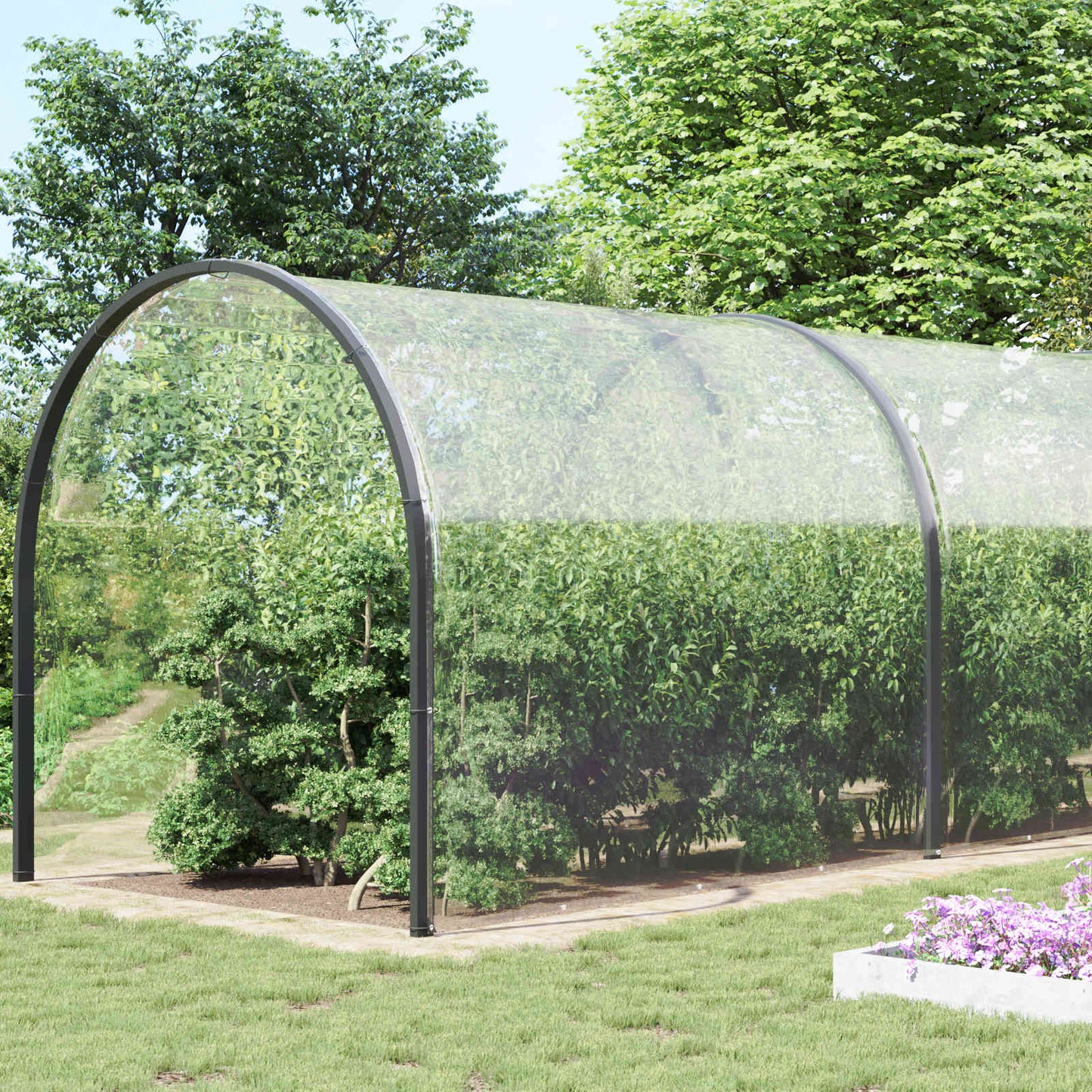 Telo con Occhielli Trasparente 8 x 8 m Polietilene
